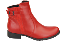 Rot